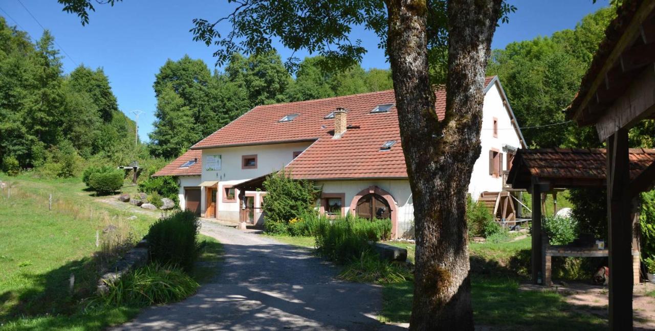Vacance Conviviales Dans Les Vosges 8 Gites Ban-de-Sapt Exterior photo