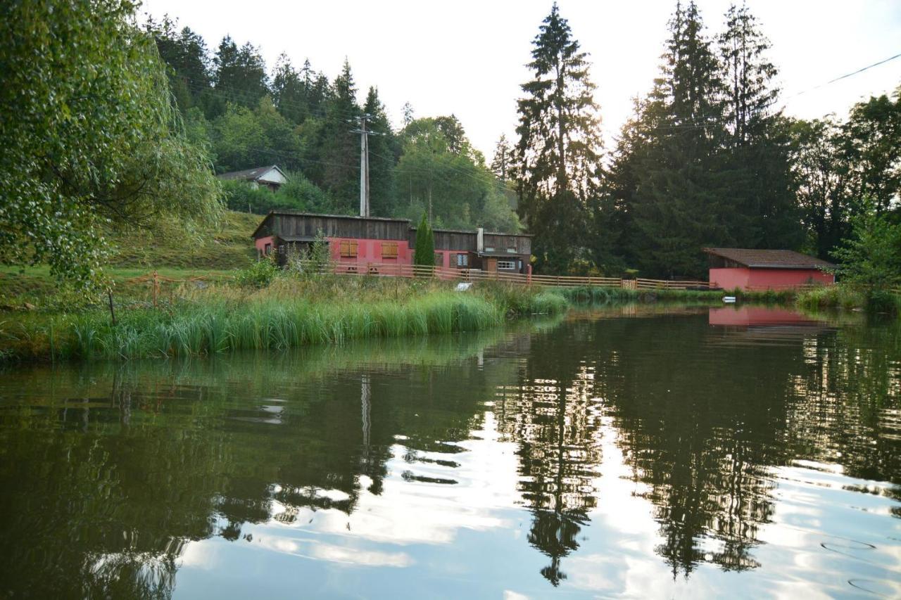 Vacance Conviviales Dans Les Vosges 8 Gites Ban-de-Sapt Exterior photo