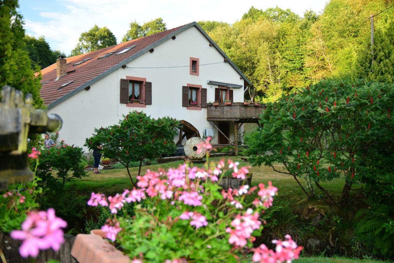 Vacance Conviviales Dans Les Vosges 8 Gites Ban-de-Sapt Exterior photo